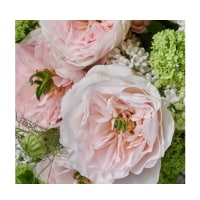Premium Seasonal Flowers